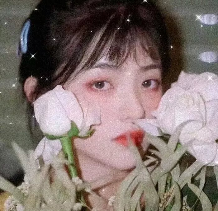 夺命六头鲨