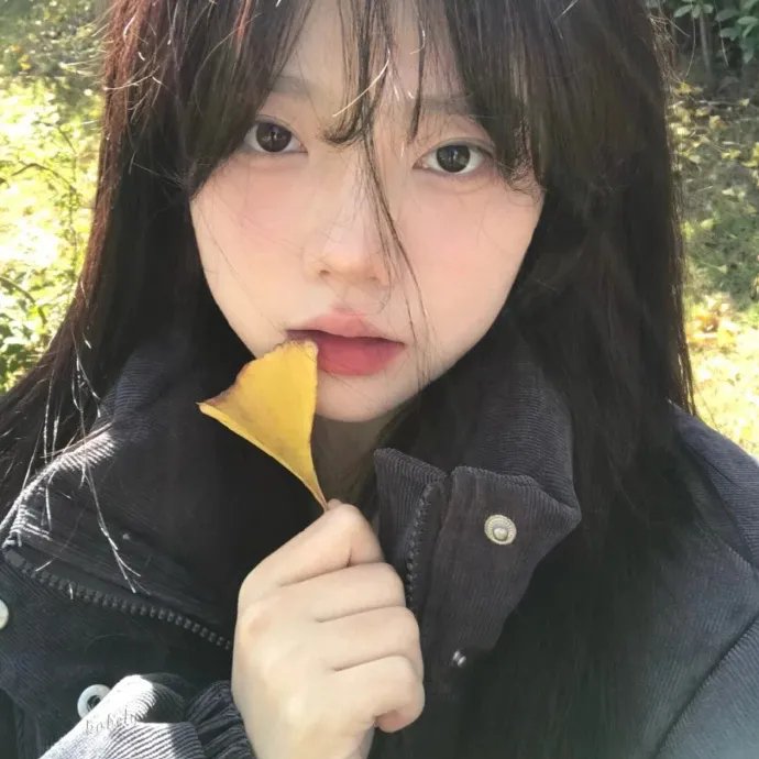 后宫